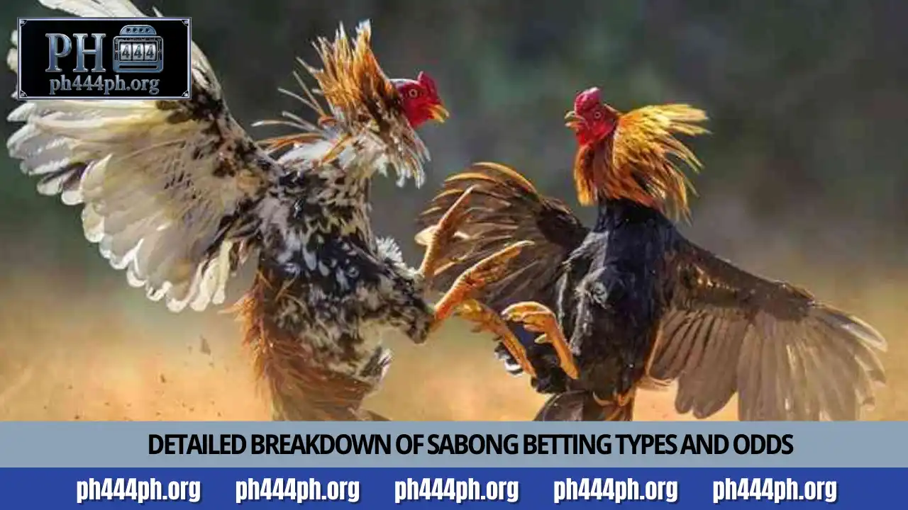Master Online Cockfighting with PH444 Sabong Guide 3 Detailed breakdown of Sabong betting types and odds