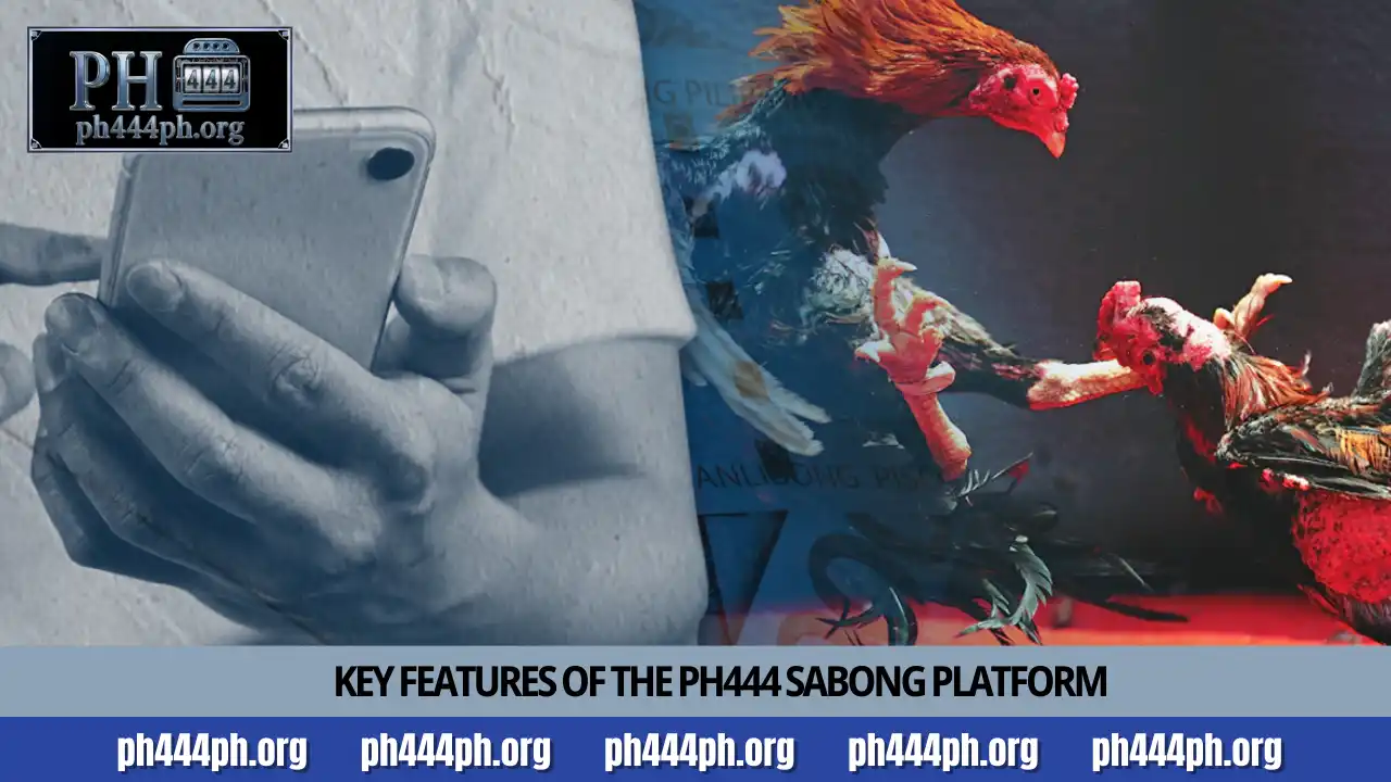 Master Online Cockfighting with PH444 Sabong Guide 2 Key features of the PH444 Sabong platform