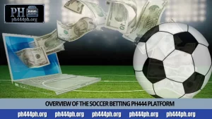 Overview of the soccer betting PH444 platform